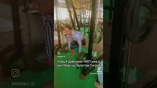 #1lifting