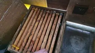 Пасека Германии | Пчеловодство в Германии. Пасека 