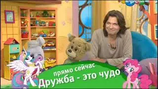 Плашка дружба - это чудо карусель белорусский старый (11.09.2025)