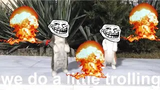 We do a little trolling