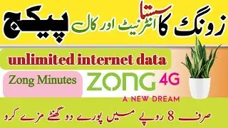 unlimited internet and call offer  | 2 hours call and internet zong offer unlimited  | 2 hours ofer