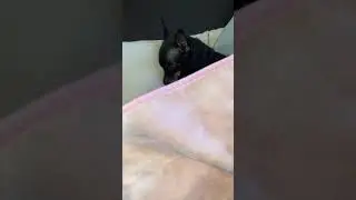 Добрых Вам снов🥰