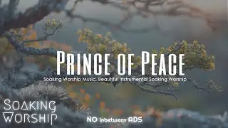 Powerful Instrumental Music for Spiritual Warfare and Intercession Prayer [2024]