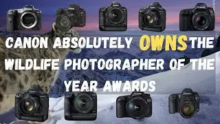 Award Winning Canon Wildlife Camera Setups