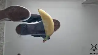 Converse Crush (Helga Li)