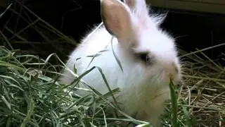 Baby Audrey Eats Her Breakfast