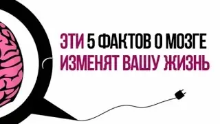 5 фактов о мозге, которые изменят вашу жизнь