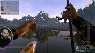 fish