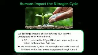 Bio 102 Unit 1 07 Nitrogen Cycle