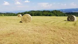Ливадите край село Буковец - 21.06.2019 г.