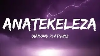Diamond Platnumz - Anatekeleza (Kisawasawa) (Lyrics)