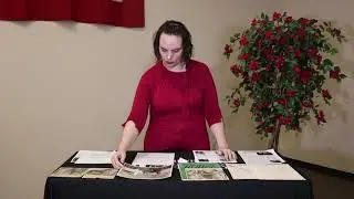 MOSTHistory Collection Series: Morgan Horse