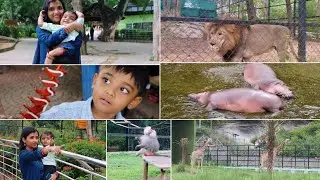 ବହୁତ ଦିନ ପରେ ବୁଲିବାକୁ ଗଲୁ Bengaluru  National Bannerghat zoo #shortsfeed #odia #odiavlog #dailyvlog
