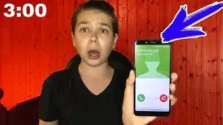 Мне звонят ТРИ КОТА В 