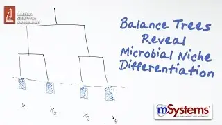 Balance Trees Reveal Microbial Niche Differentiation - mSystems®