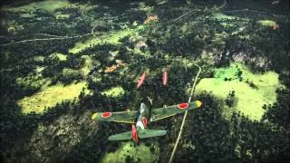 Sentai7  D4F squadron