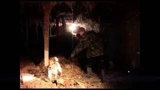 TERRIERS RATTING