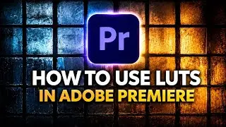 How to Use LUTs in Adobe Premiere Pro 2024