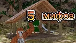 топ 5 мифов в |gorilla tag|