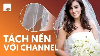 Tách nền vật thể khó bằng Channel trong Photoshop