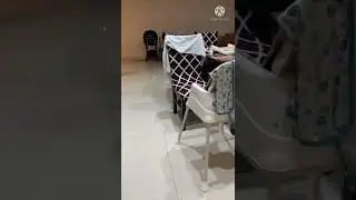 Suzanne slow motion flying