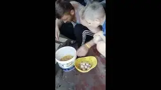 Не вылупились цыплята. Почему ????