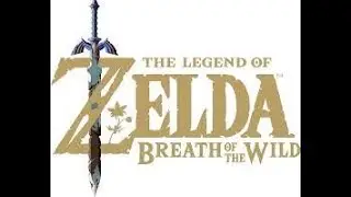 Zelda Gerudo town meme