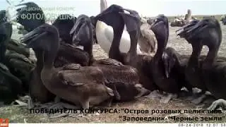 Итоговый видеоролик IV Национального Конкурса 