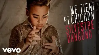 Silvestre Dangond - Me Tiene Pechichón (Official Video)