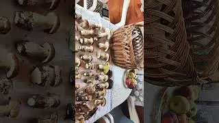 🍄🌿ОХОТА УДАЛАСЬ 🍄🌿
