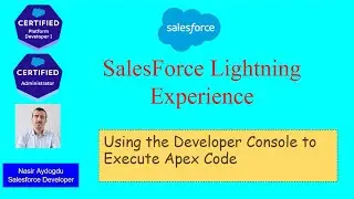 Using the Developer Console to Execute Apex Code