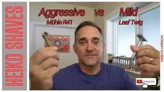Aggressive vs Mild - Leaf Twig vs Mühle R41