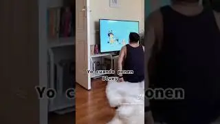 Guy watches bluey intro