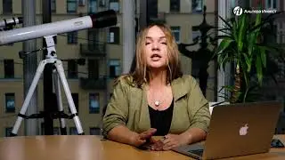 Выбор подрядчика на создание и продвижение франшизы