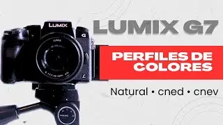 LUMIX G7 | PERFILES de COLORES EXPLICADO!!! Para VIDEOS