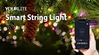 YOURLITE Wifi Tuya App Control Christmas Tree Decrative Lamp Smart LED String Light