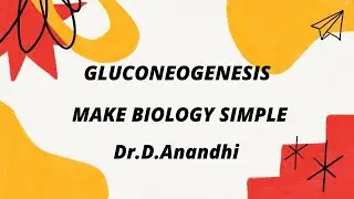 Gluconeogenesis: The Intricate Pathway of Glucose Synthesis