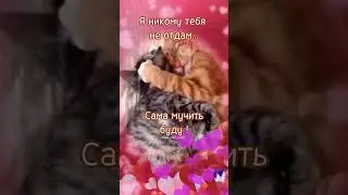 Моё - значит моё 😉