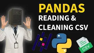 Master Data Cleaning in Python: Real-Time Pandas Guide