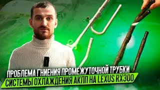 Проблема гниения промежуточной трубки системы охлаждения АКПП на Lexus RX300