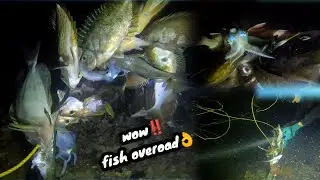 Night fish hunting😱😲 Dumayo sa Claver, SDS #fishing #thankyouaLord #fish #spearfishingphilipines