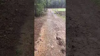 Here is what the water did to our driveway
