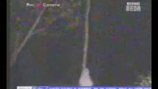 pocong ( ghost of Indonesia ) THE ORIGINAL