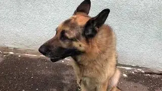 Кристоф