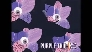 ¡NEW BEAT! | PURPLE TRIP | BOOMBAP TYPE (Beatstars Link)