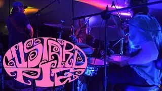 Live Music - Custard Pie - James Brown