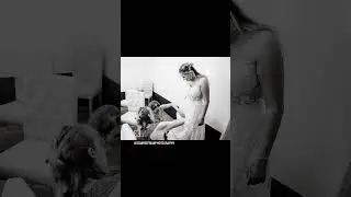 Wedding at Babalou Kingscliff NSW - Behind the scenes 🎬