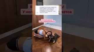 Рубрика: нам пишут 😅 #shorts #прикол #dog