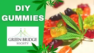 Green Bridge DIY Gummies
