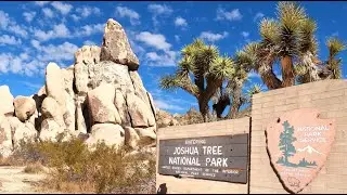 Joshua Tree NP - Hikes and Places to visit in one day
